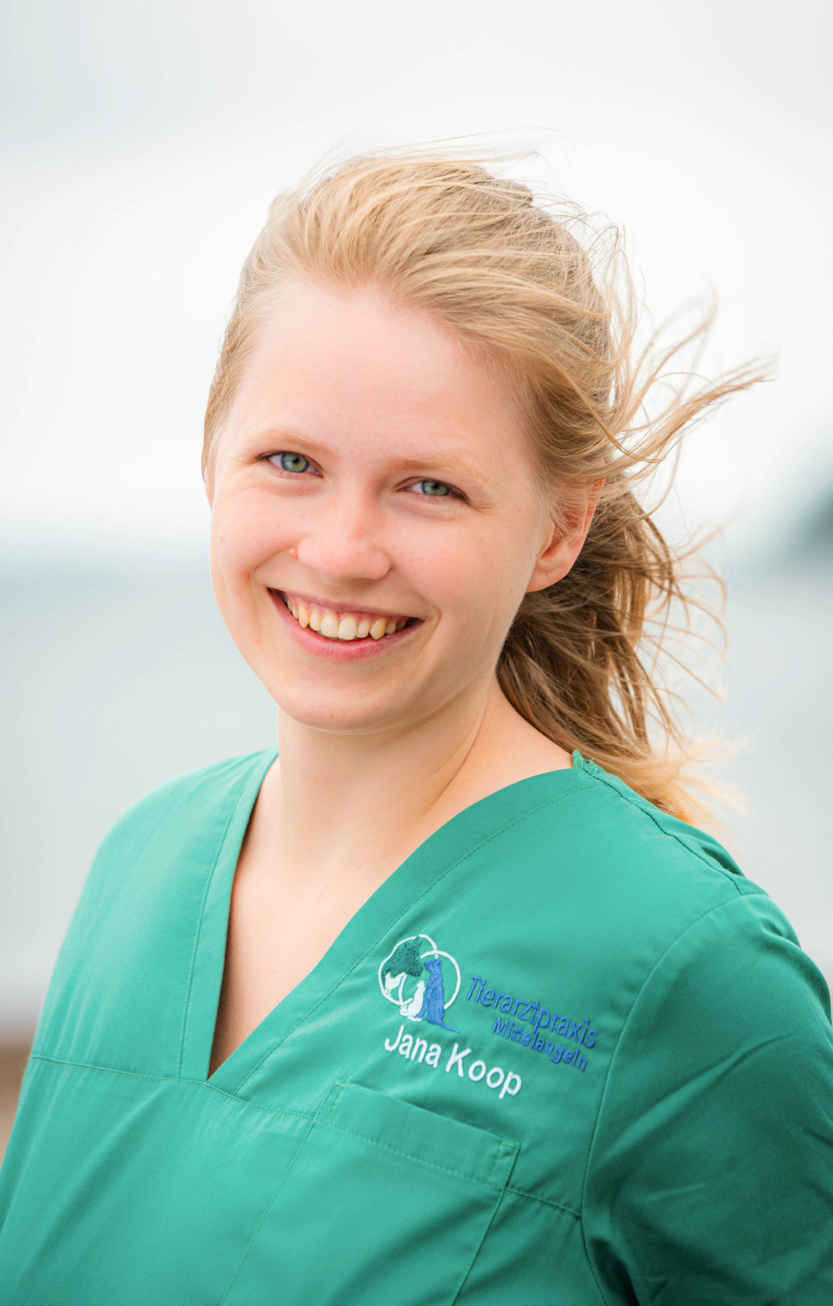 Image hover effect image