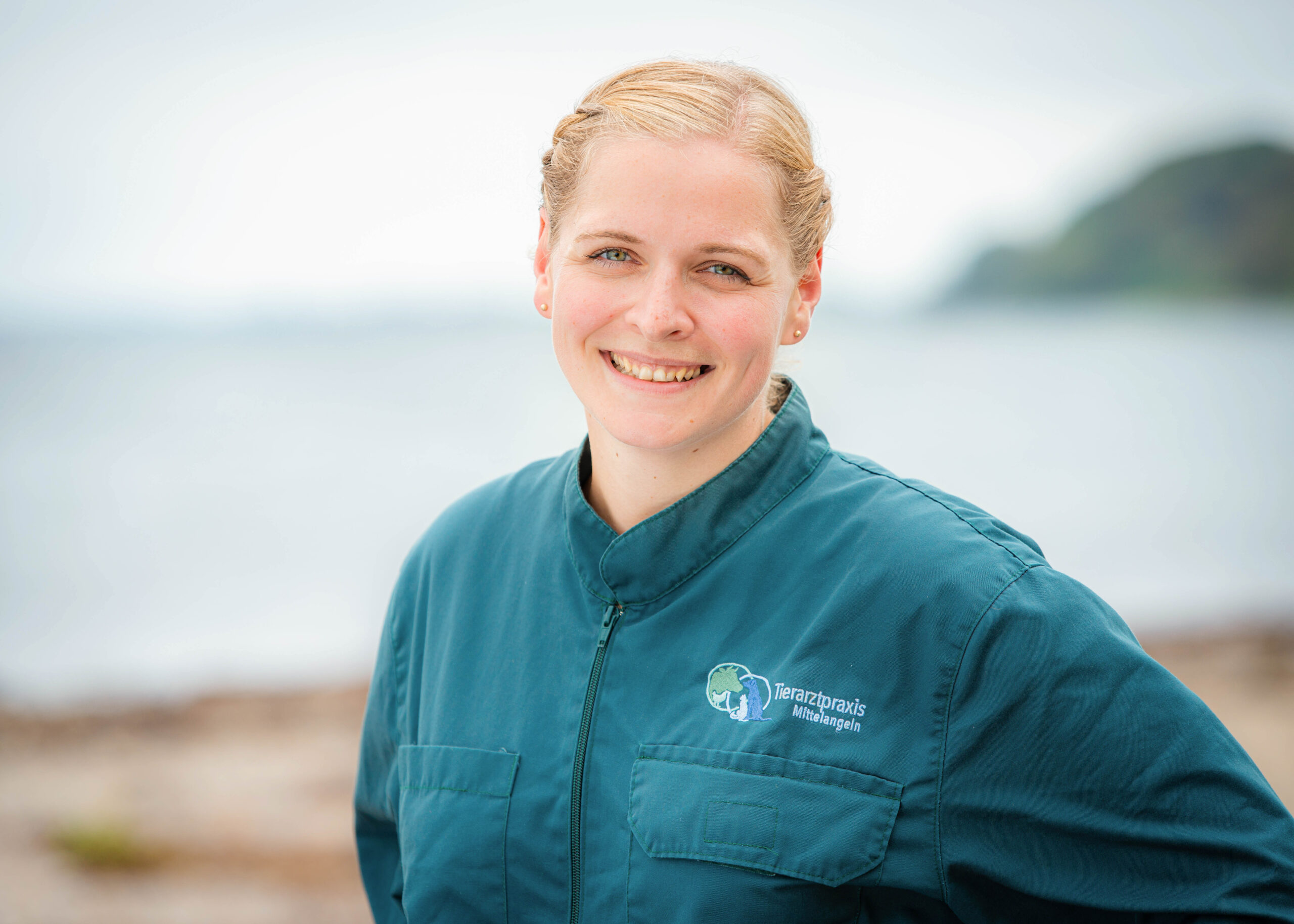 Image hover effect image